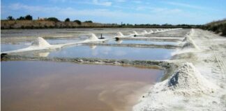 CAVIDEA: Producción de sal incrementó un 18% en el país durante el 2025
